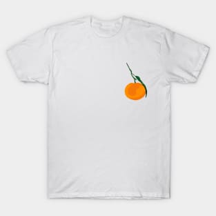 orange T-Shirt